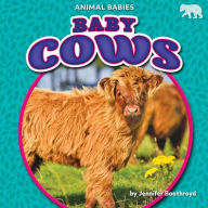 Title: Baby Cows, Author: Jennifer Boothroyd