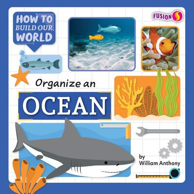 Organize an Ocean