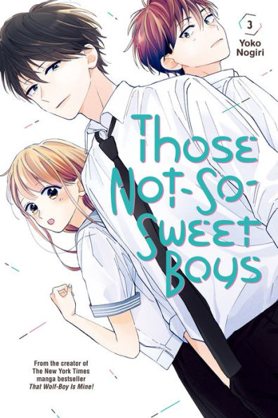 Those Not-So-Sweet Boys 3