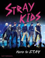 Stray Kids: Here to STAY