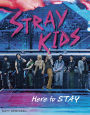 Stray Kids: Here to STAY