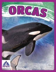Title: Orcas, Author: Angela Lim