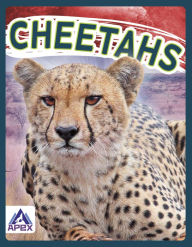 Title: Cheetahs, Author: Sophie Geister-Jones