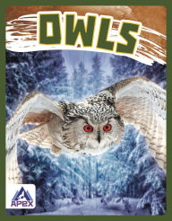 Title: Owls, Author: Golriz Golkar