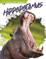 Title: Hippopotamus, Author: Golriz Golkar