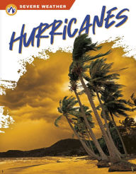 Download ebooks to ipad mini Hurricanes by Brienna Rossiter 9798892506625