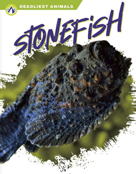 Stonefish