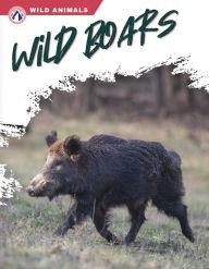 Title: Wild Boars, Author: Libby Wilson