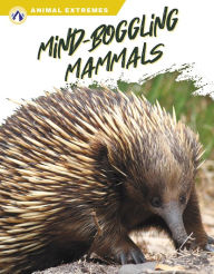 Title: Mind-Boggling Mammals, Author: Libby Wilson