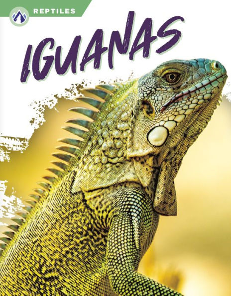 Iguanas