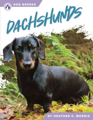 Title: Dachshunds, Author: Heather C. Morris