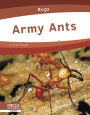 Army Ants