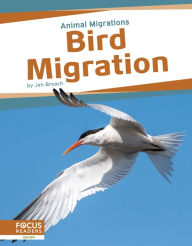 Title: Bird Migration, Author: Jen Breach