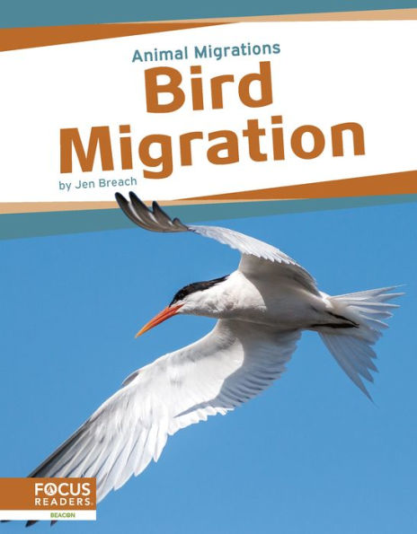 Bird Migration