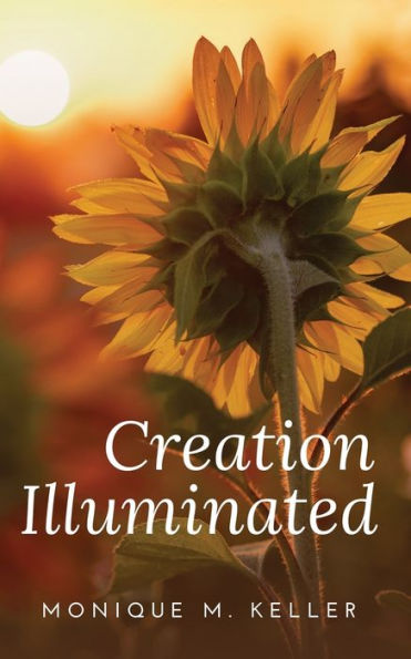 Creation Illuminated