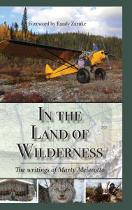 Title: In the Land of Wilderness, Author: Marty Meierotto