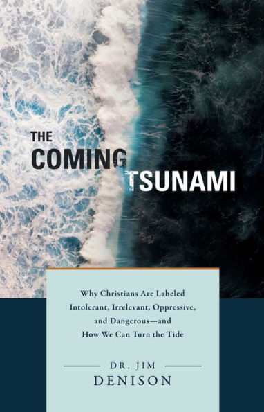 the Coming Tsunami: Why Christians Are Labeled Intolerant, Irrelevant, Oppressive, and Dangerous-and How We Can Turn Tide