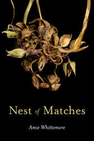 Free download electronic books Nest of Matches by Amie Whittemore 