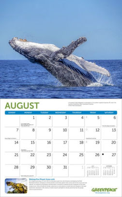 2022 Greenpeace Wall Calendar by Greenpeace | Barnes & Noble®