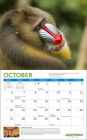 2024 Greenpeace Wall Calendar by Ziga Media, LLC | Barnes & Noble®