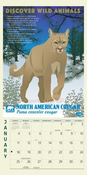 2026 American Wildlife Mini Wall Calendar