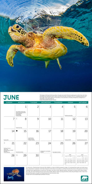 2026 Project Green Wall Calendar