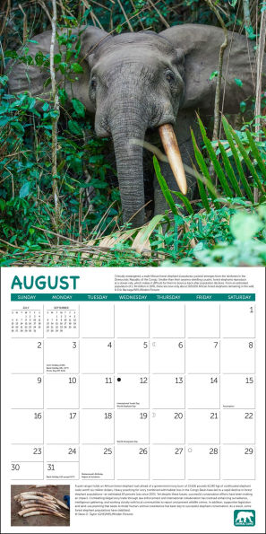 2026 Project Green Wall Calendar