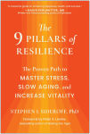 Alternative view 1 of The 9 Pillars of Resilience: The Proven Path to Master Stress, Slow Aging, and Increase Vitality