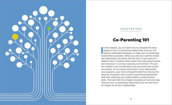 The Successful Co-Parenting Workbook: Practical Exercises to Heal Yourself and Help Your Kids Thrive