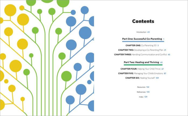 The Successful Co-Parenting Workbook: Practical Exercises to Heal Yourself and Help Your Kids Thrive