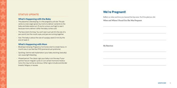 First-Time Dad Journal: Monthly Prompts and To-Dos For Pregnancy And Beyond