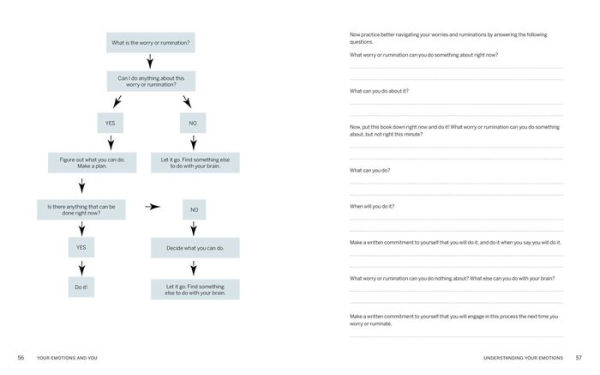 Your Emotions and You: A Workbook: Strategies and Exercises to Understand and Manage Emotions