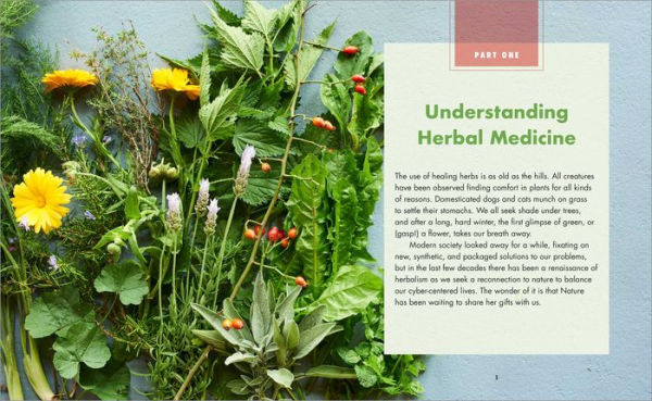 The Big Book of Herbal Medicine: 300 Natural Remedies for Health and Wellness