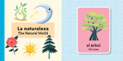 Alternative view 7 of The First Words Loter a Book for Toddlers English-Spanish Bilingual: Libro de Loter a de primeras palabras para ni os peque os Biling e Ingl s-Espa ol