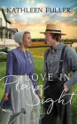 Love in Plain Sight: An Amish Mail-Order Bride Novel