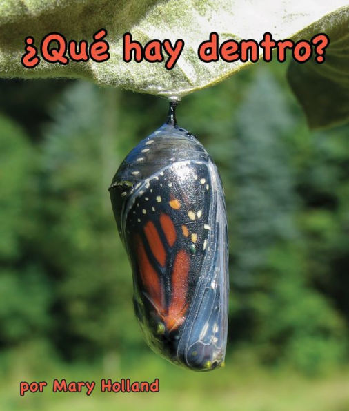 Qu hay dentro?: What's Inside?