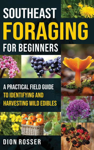 Southeast Foraging for Beginners: A Practical Field Guide to Identifying and Harvesting Wild Edibles