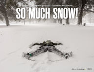 Download android books free So Much Snow! A Joyous Celebration of the 2025 Louisiana Snowstorm by The Advocate 9781638461562