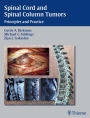 Spinal Cord and Spinal Column Tumors: Principles and Practice