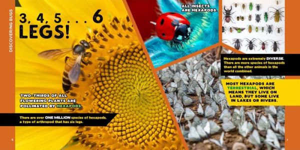 The Fascinating Bug Book for Kids: 500 Startling Facts!