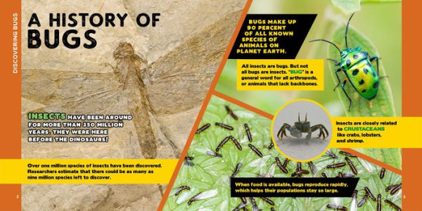 The Fascinating Bug Book for Kids: 500 Startling Facts!