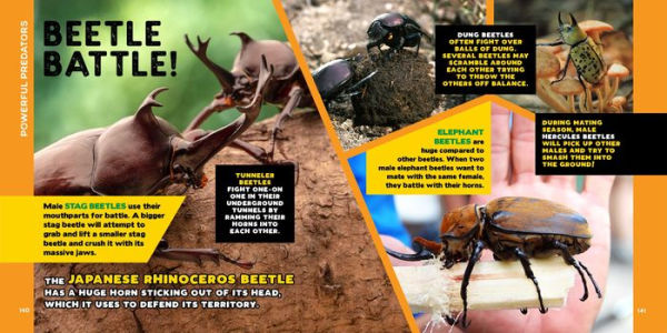 The Fascinating Bug Book for Kids: 500 Startling Facts!