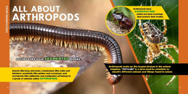 The Fascinating Bug Book for Kids: 500 Startling Facts!
