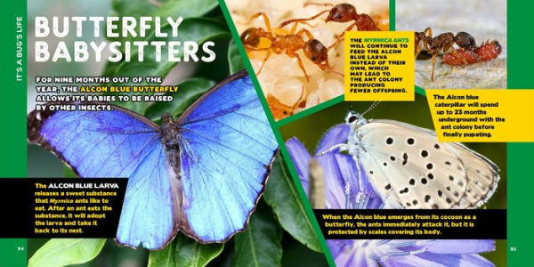 The Fascinating Bug Book for Kids: 500 Startling Facts!