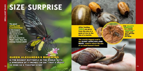 The Fascinating Bug Book for Kids: 500 Startling Facts!