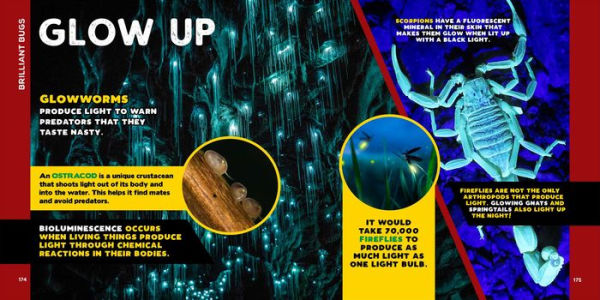 The Fascinating Bug Book for Kids: 500 Startling Facts!