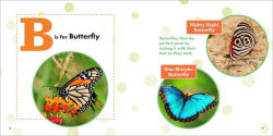 Alternative view 4 of ABC Bug Book for Kids
