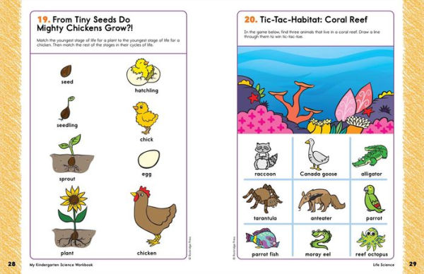 My Kindergarten Science Workbook: 101 Games & Activities to Support Kindergarten Science Skills