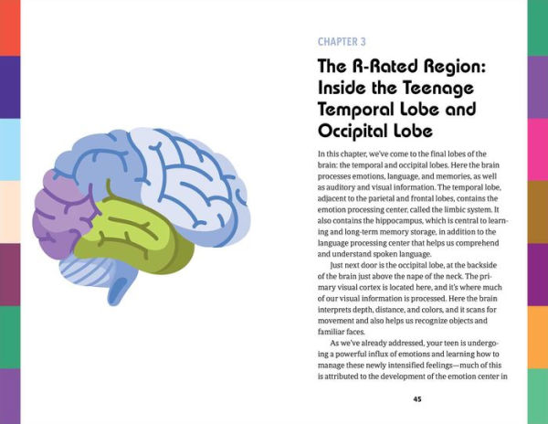 Unlocking the Teenage Brain: Helping Parents Understand and Support Their Teenager