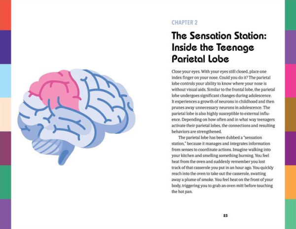 Unlocking the Teenage Brain: Helping Parents Understand and Support Their Teenager